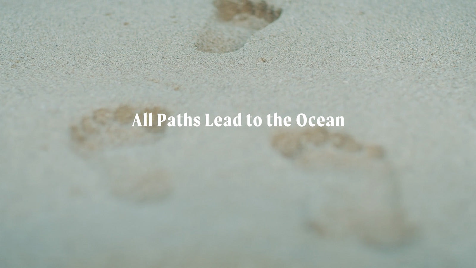 All Paths Lead To The Ocean