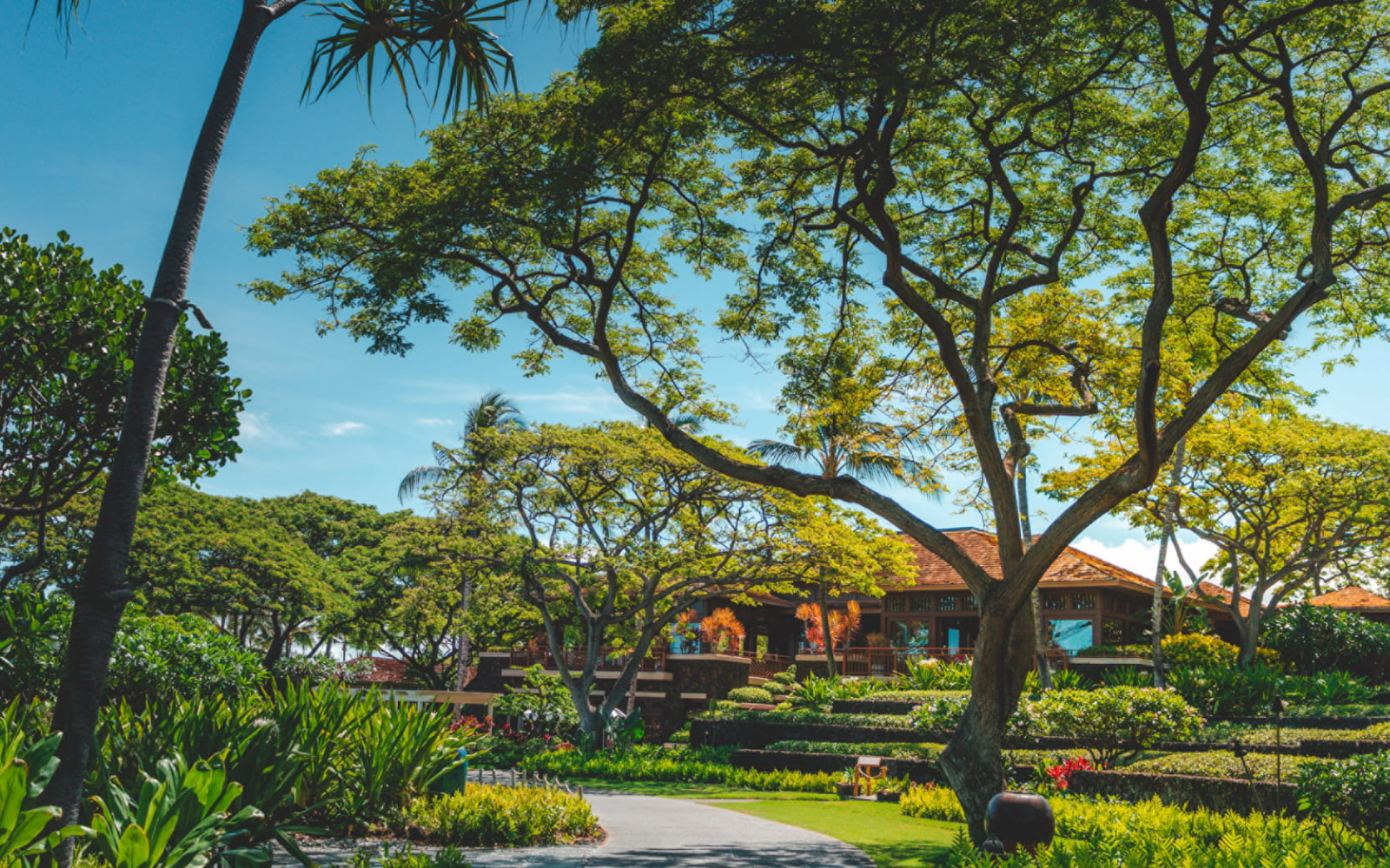 The Ultimate 2022 Hawai‘i Giveaway