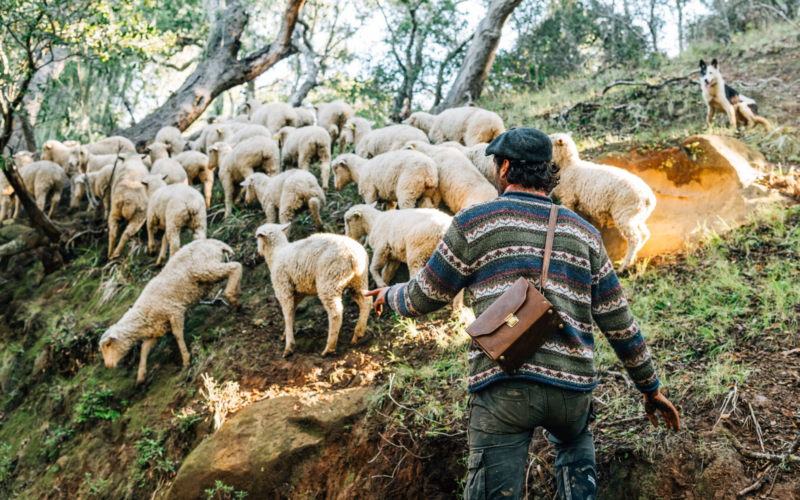 Regenerative Agriculture at White Buffalo Land Trust