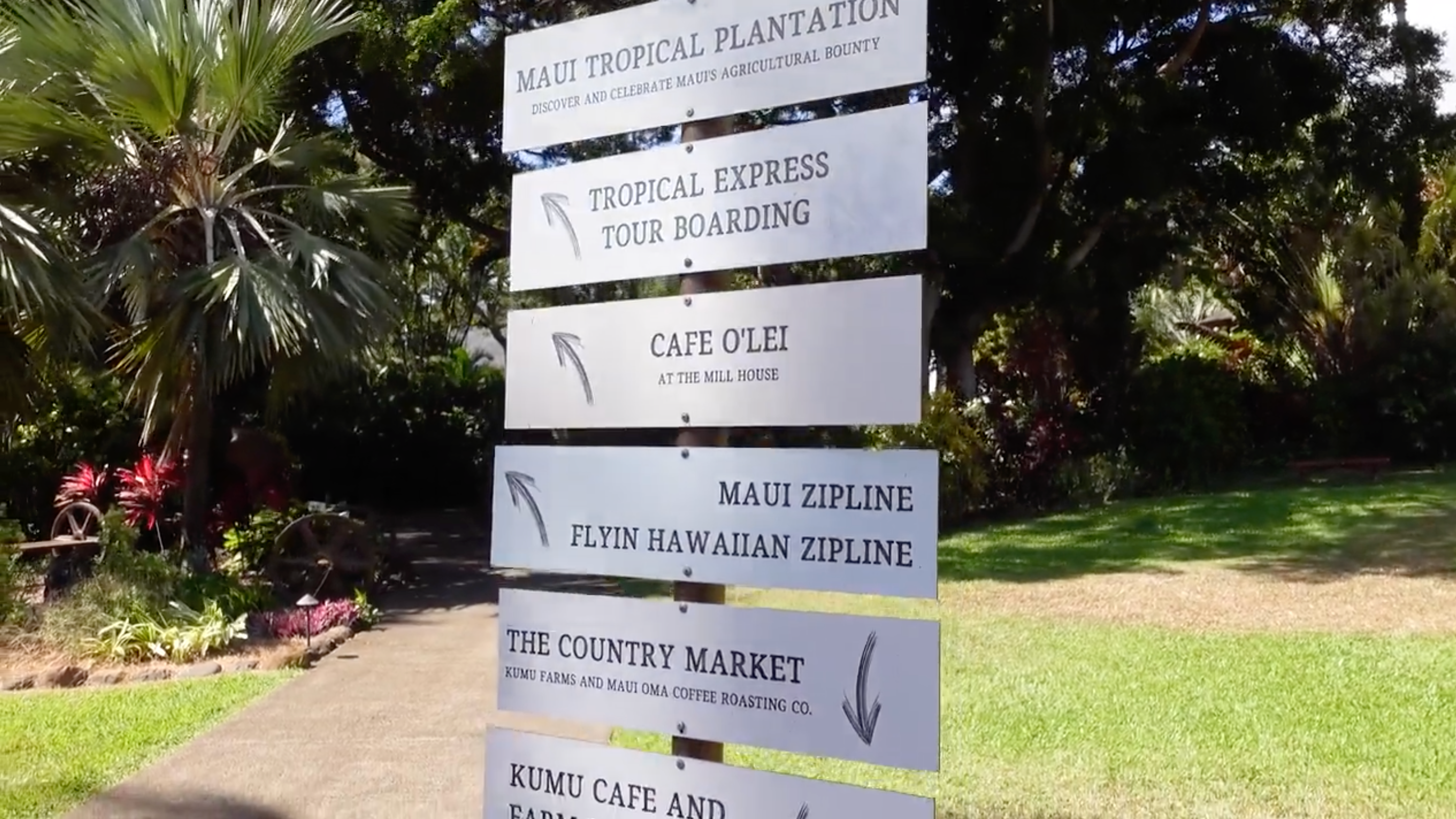 Maui Things To Do | OluKai