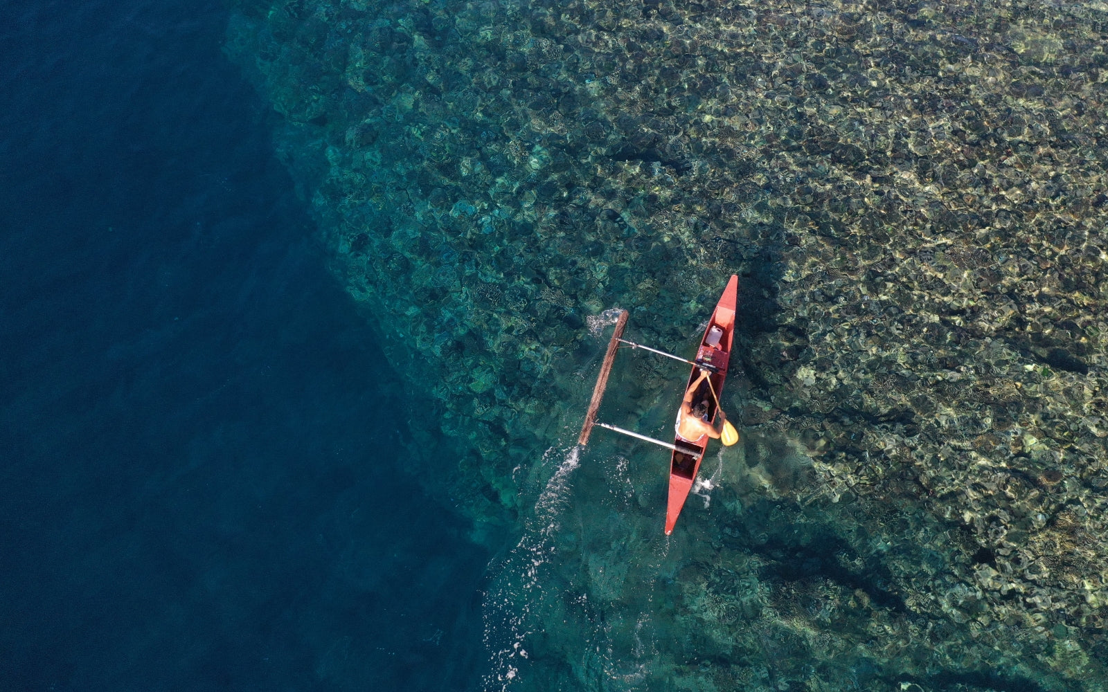 Chasing Energy With Hopena Pokipala