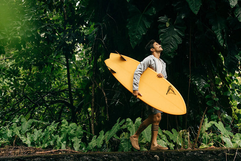 New Traditions; From the Ground Up