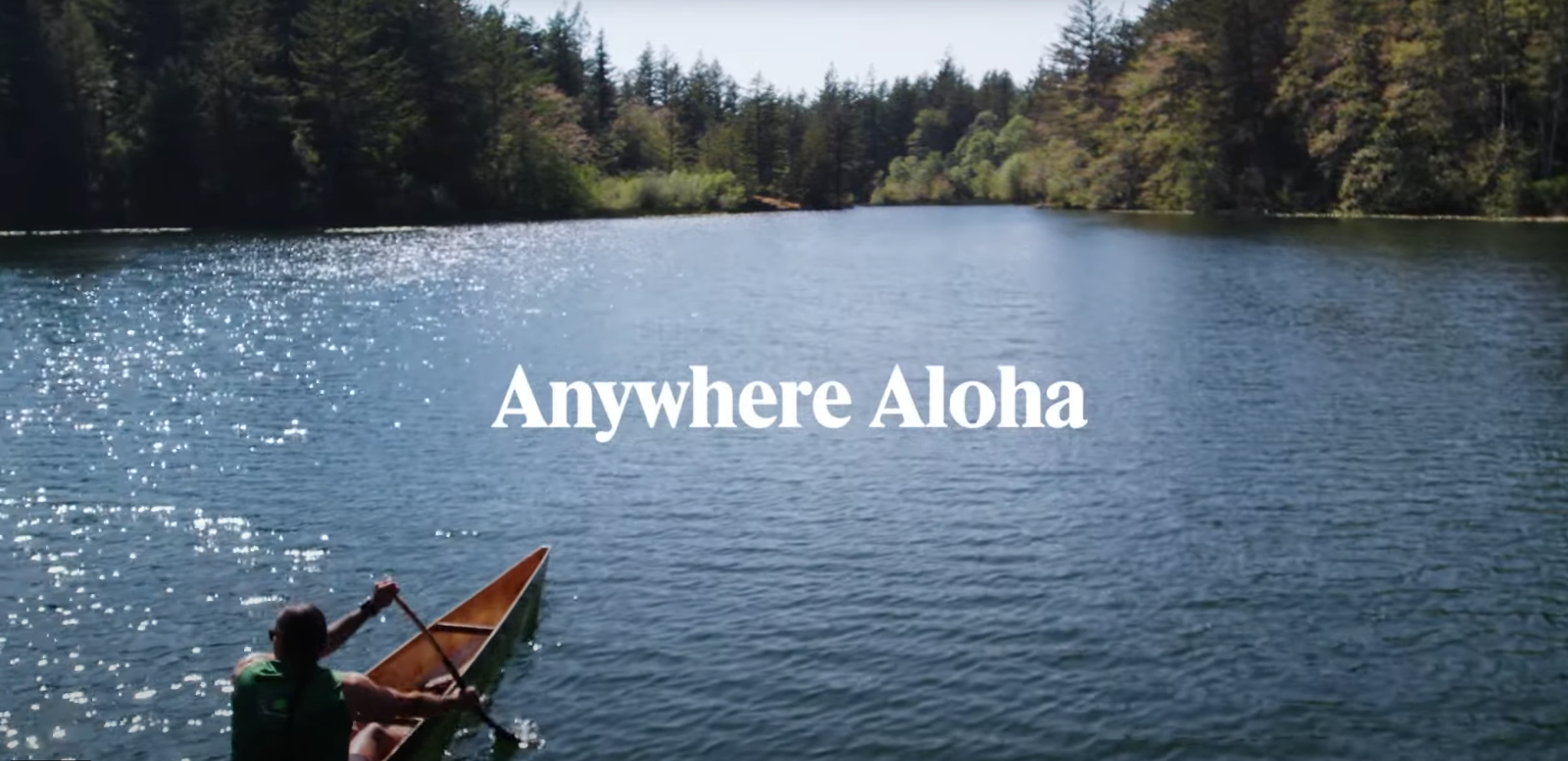 The Underwater World - Pacific Northwest